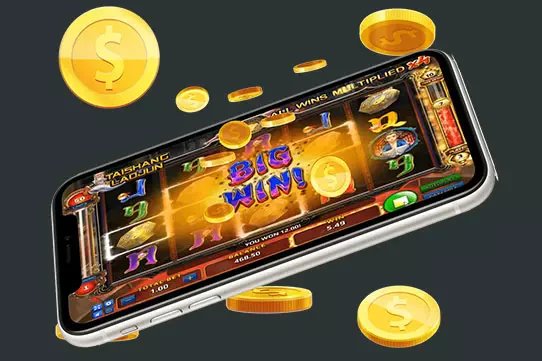 qq8896